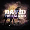 David Y Fernando - Tributo A Los Invasores - Single